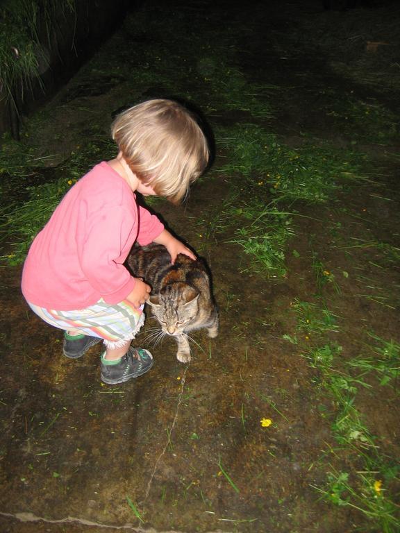 Baby- Und Kinderhof Aicherbauer Seeham Luaran gambar