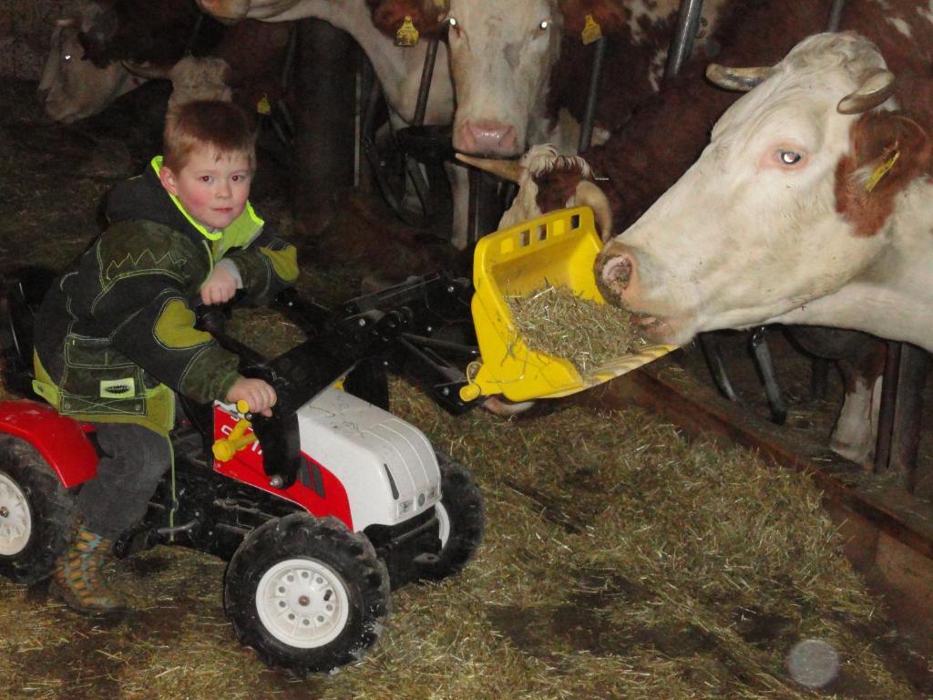 Baby- Und Kinderhof Aicherbauer Seeham Luaran gambar