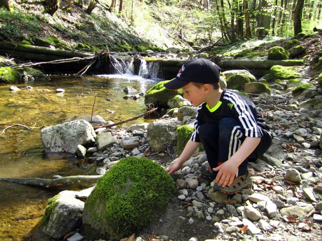 Baby- Und Kinderhof Aicherbauer Seeham Luaran gambar