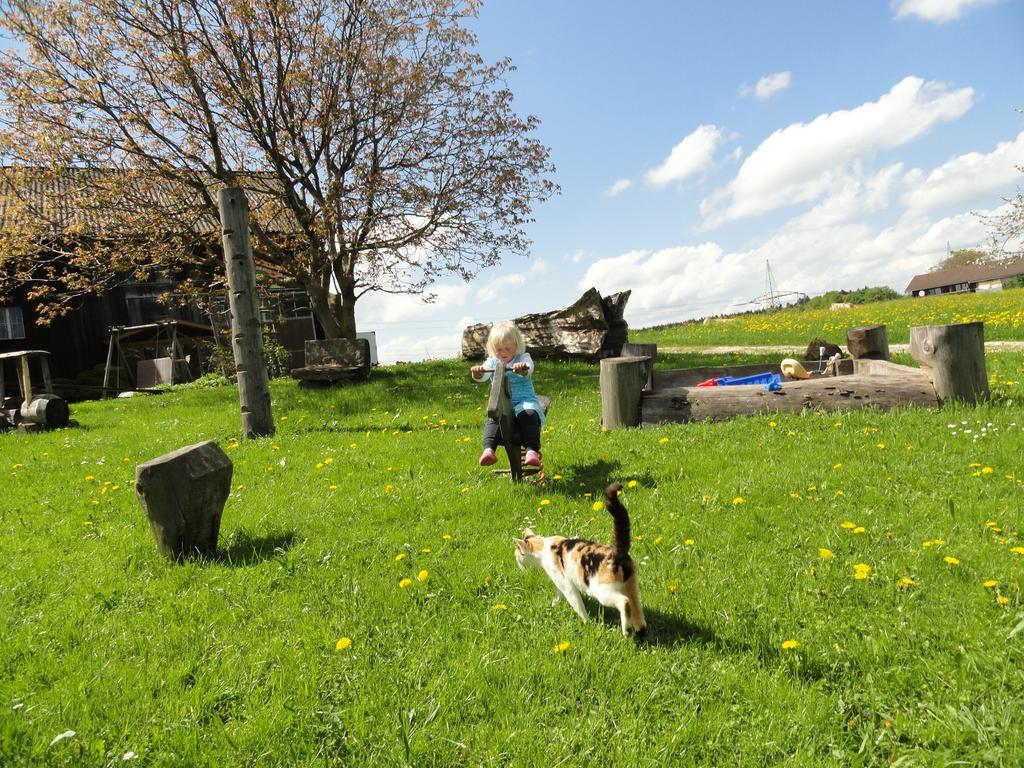 Baby- Und Kinderhof Aicherbauer Seeham Luaran gambar